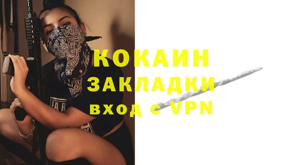 мдпв Кодинск