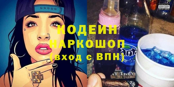 мдпв Кодинск