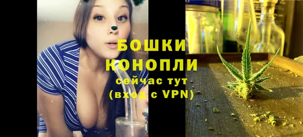 мдпв Кодинск