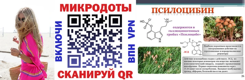 Купить  Горняк  Галлюциногенные грибы Cubensis 